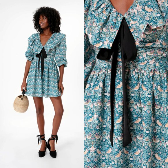 Tuckernuck Dresses & Skirts - Hyacinth House NEW Victorian Ruffle Collar Preppy Bow Birdsong Mini Dress Size M